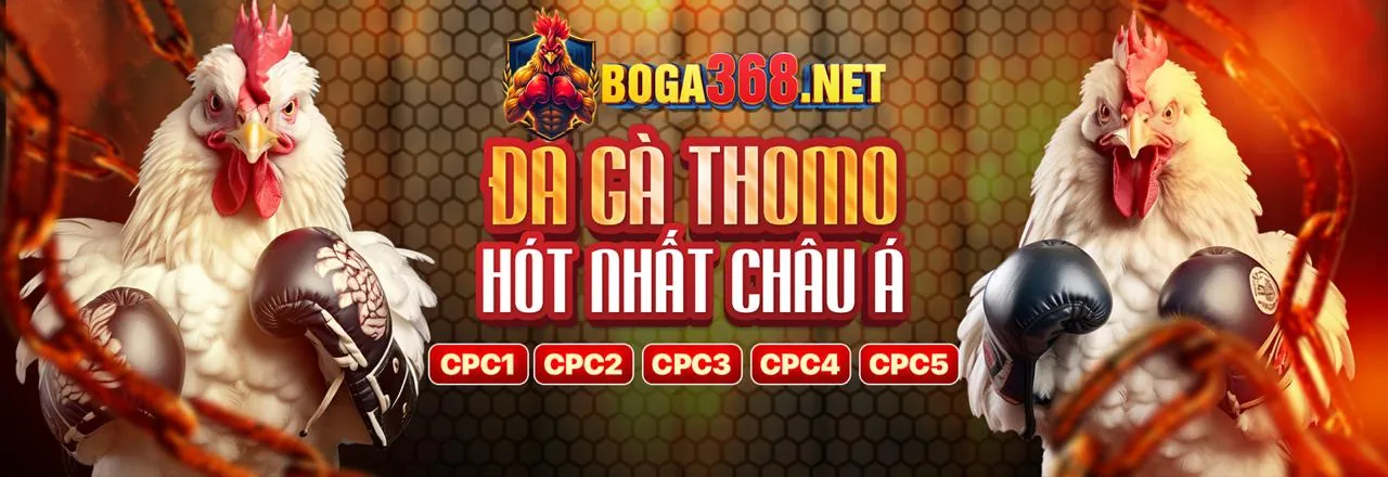 Đội ngũ hỗ trợ khách hàng chuyên nghiệp của 88bcl đăng nhập